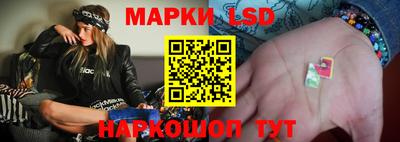 apvp Гусев