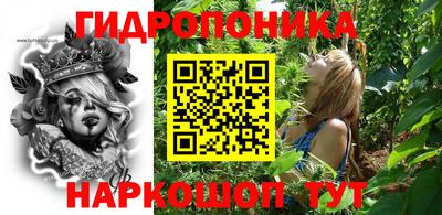 apvp Гусев