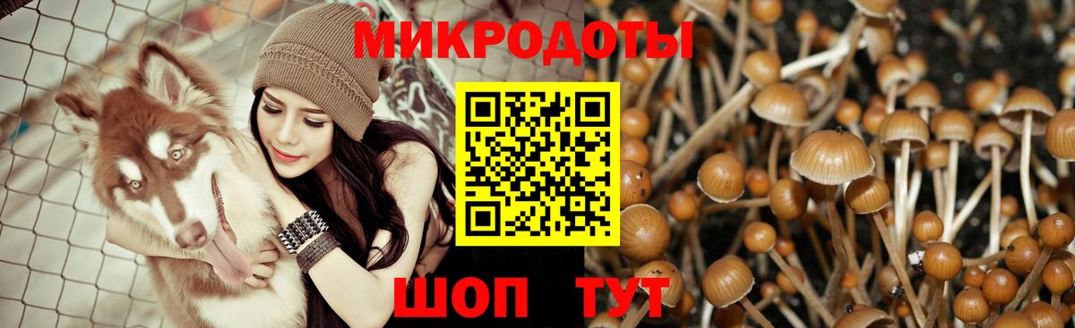 Псилоцибиновые грибы Psilocybine cubensis Назрань