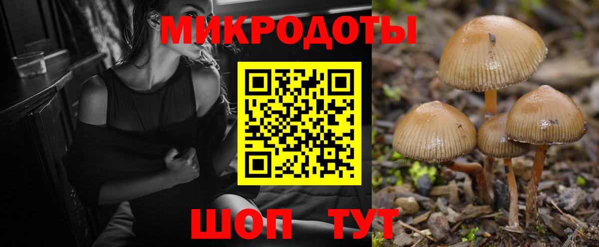 Псилоцибиновые грибы GOLDEN TEACHER  Вход с VPN  Назрань 